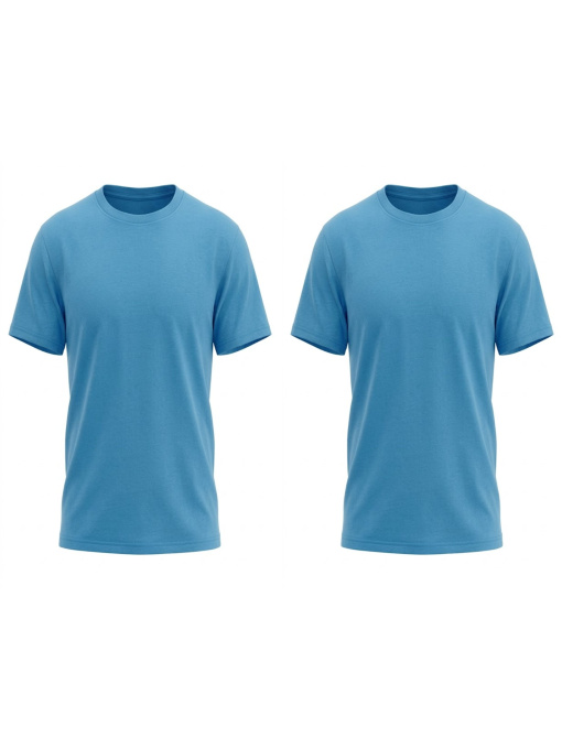 Комплект чоловічих однотонних футболок прямого крою 2 шт Блакитний Носи Своє (8012-001-3-pak2) модель 8012-001-3-pak2-goluba-blakitx Фото