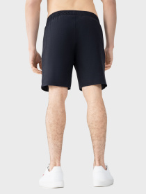 Спортивні шорти AVECS модель 30546-17 Спортивні шорти AVECS модель 30546-17 Фото