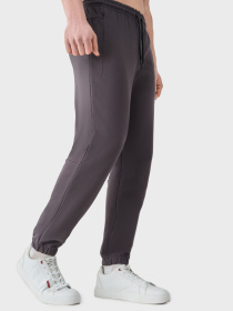 Штаны спортивные AVECS модель 50622-17 Фото