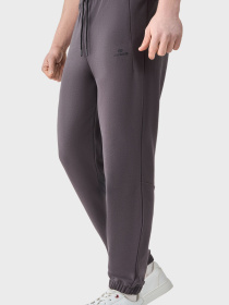 Штаны спортивные AVECS модель 50622-17 Фото