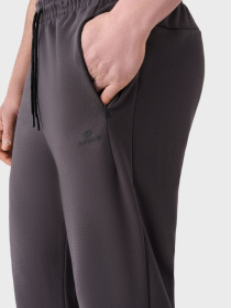 Штаны спортивные AVECS модель 50622-17 Фото