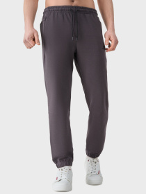 Штаны спортивные AVECS модель 50622-17 Фото