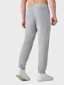 Штаны спортивные AVECS модель 50622-15 Фото