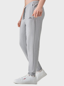 Штаны спортивные AVECS модель 50622-15 Фото