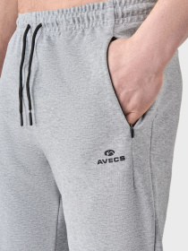 Штаны спортивные AVECS модель 50622-15 Фото