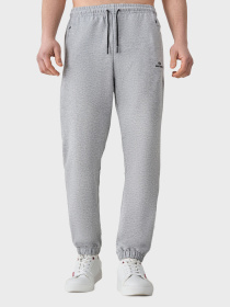 Штаны спортивные AVECS модель 50622-15 Фото