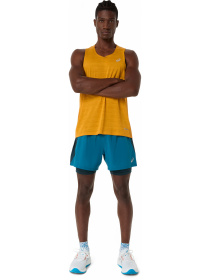 Шорты спортивные ROAD 2-N-1 5IN SHORT модель 2011D245-302 Шорты спортивные ROAD 2-N-1 5IN SHORT модель 2011D245-302 Фото