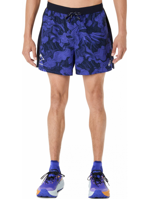 Шорты спортивные FUJITRAIL ALL OVER PRINT 5IN SHORT модель 2011D526-400 Фото