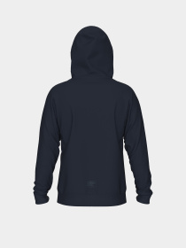 Чоловічий реглан Arena BRUSHED HOODED SWEAT LOGO модель 007684-700 Фото