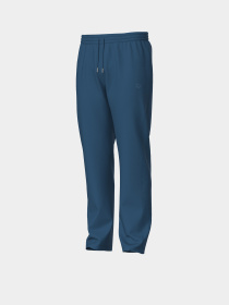 Чоловічі спортивні штани Arena UNBRUSHED STRAIGHT PANT модель 007694-540 Фото