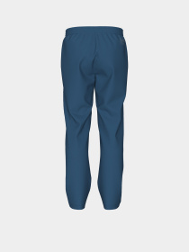 Чоловічі спортивні штани Arena UNBRUSHED STRAIGHT PANT модель 007694-540 Фото