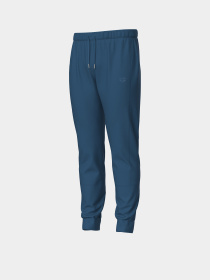 Мужские спортивные брюки Arena BRUSHED CUFF PANT AS модель 007696-540 Фото