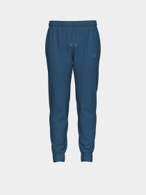 Мужские спортивные брюки Arena BRUSHED CUFF PANT AS модель 007696-540 Фото