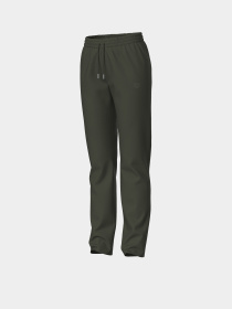 Жіночі спортивні штани Arena BRUSHED STRAIGHT PANT модель 007697-630 Фото