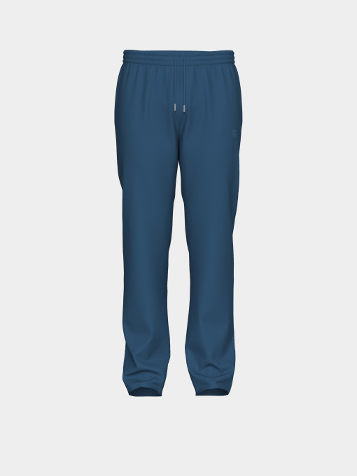 Мужские спортивные брюки Arena BRUSHED STRAIGHT PANT AS модель 007698-540 Фото