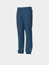 Мужские спортивные брюки Arena BRUSHED STRAIGHT PANT AS модель 007698-540 Мужские спортивные брюки Arena BRUSHED STRAIGHT PANT AS модель 007698-540 Фото