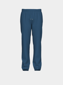 Мужские спортивные брюки Arena BRUSHED STRAIGHT PANT AS модель 007698-540 Мужские спортивные брюки Arena BRUSHED STRAIGHT PANT AS модель 007698-540 Фото