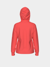 Жіночий реглан Arena UNBRUSHED HOODED F/Z модель 007676-900 Жіночий реглан Arena UNBRUSHED HOODED F/Z модель 007676-900 Фото