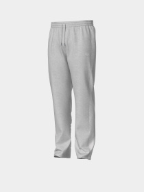 Чоловічі спортивні штани Arena UNBRUSHED STRAIGHT PANT модель 007694-520 Чоловічі спортивні штани Arena UNBRUSHED STRAIGHT PANT модель 007694-520 Фото
