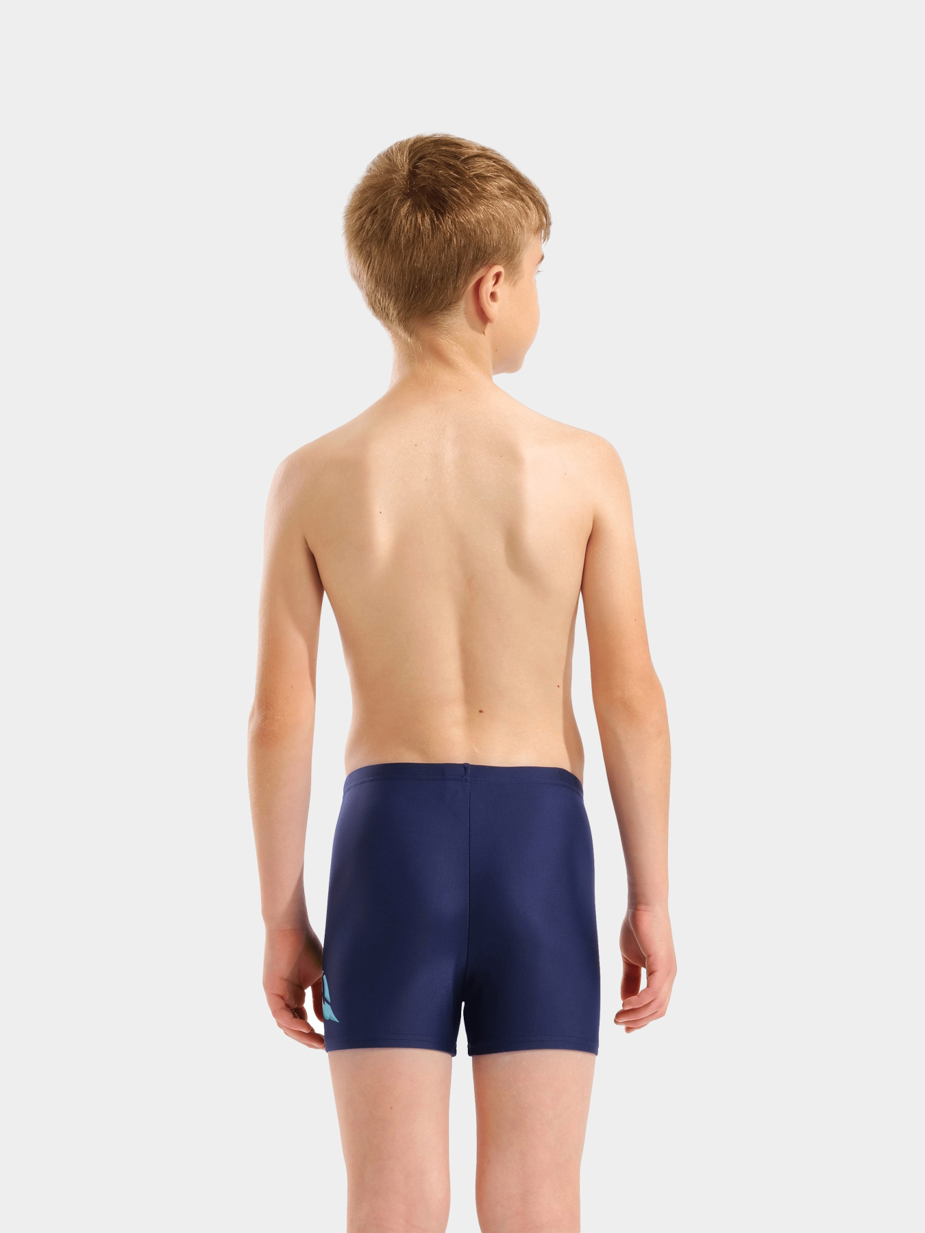 Детские плавки Arena LETTERING SWIM SHORT модель 010864-700 Фото
