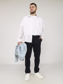 Брюки мужские  цвет темно-синий ЦБ-00283043 модель ЦБ-00283043 Фото