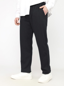 Штаны мужские  цвет темно-синий ЦБ-00283045 модель ЦБ-00283045 Фото