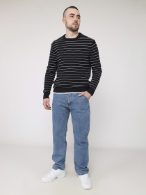 Джемпер чоловічий  колір синій ЦБ-00283235 модель ЦБ-00283235 Фото