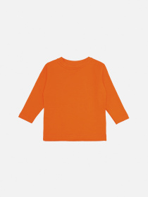 Футболка з довгим рукавом для хлопчика  колір помаранчевий ЦБ-00283602 модель ЦБ-00283602 Фото