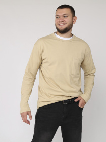 Футболка з довгим рукавом чоловіча  колір бежевий ЦБ-00284935 модель ЦБ-00284935 Фото