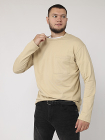 Футболка з довгим рукавом чоловіча  колір бежевий ЦБ-00284935 модель ЦБ-00284935 Фото