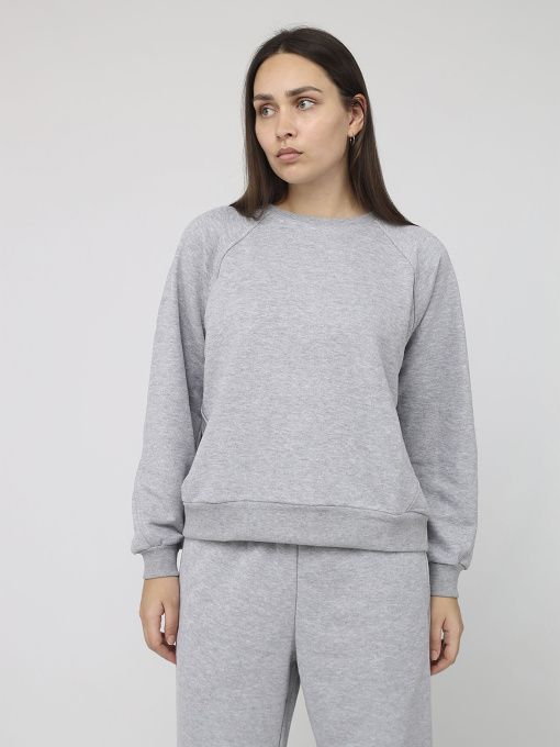Свитшот женский  цвет серый ЦБ-00287135 модель ЦБ-00287135 Фото