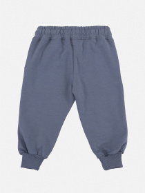 Штаны спортивные для мальчика  цвет синий ЦБ-00288389 модель ЦБ-00288389 Фото