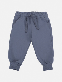 Штаны спортивные для мальчика  цвет синий ЦБ-00288389 модель ЦБ-00288389 Фото