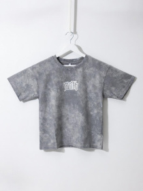 Футболка для хлопчика підлітка Світло-сірий STREAM модель 724424 Фото