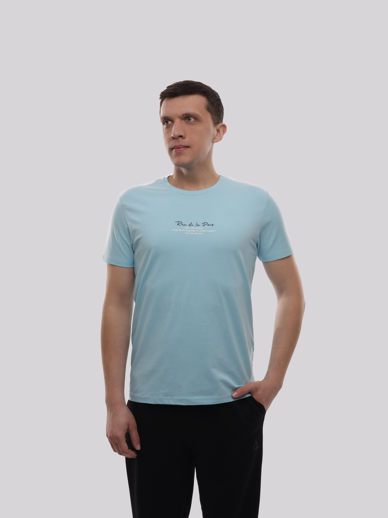 Футболка мужская Голубой TREND LINE модель 717884 Фото