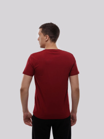 Футболка мужская Бордовый TREND LINE модель 717888 Фото