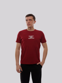 Футболка мужская Бордовый TREND LINE модель 717888 Фото
