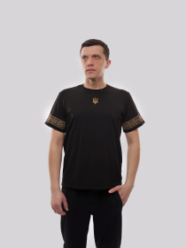 Футболка мужская Чёрный ФИОНА модель 719821 Футболка мужская Чёрный ФИОНА модель 719821 Фото