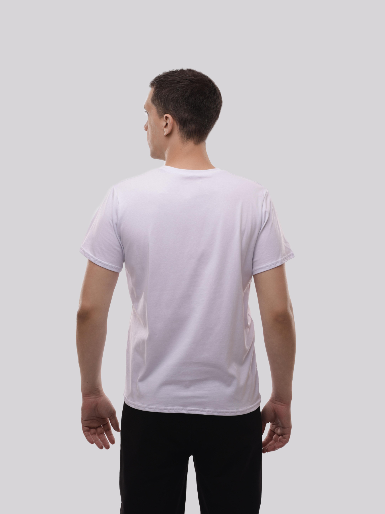 Футболка чоловіча Білий ФІОНА модель 719861 Фото