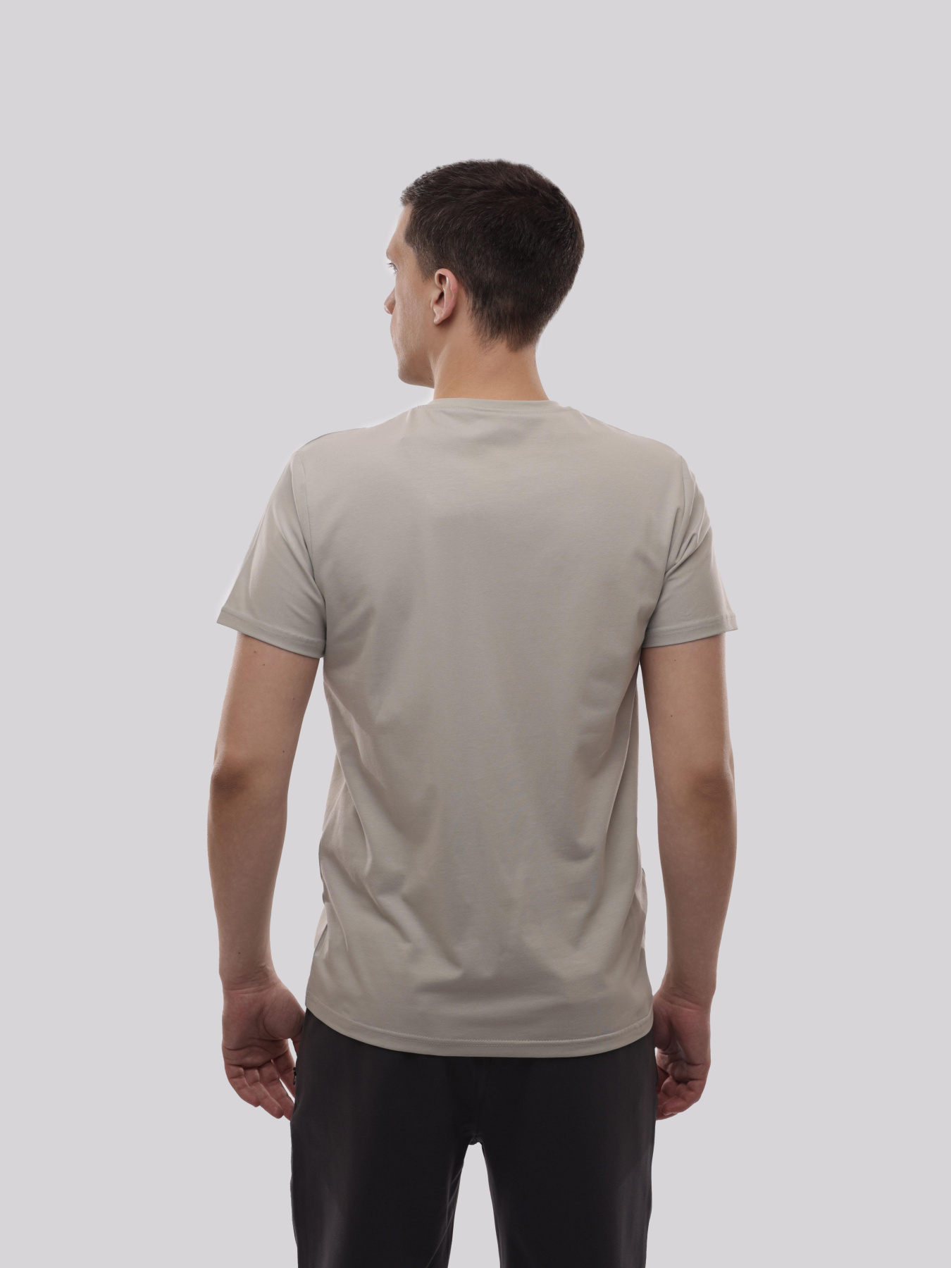 Футболка мужская Светло-серый TREND LINE модель 719931 Фото