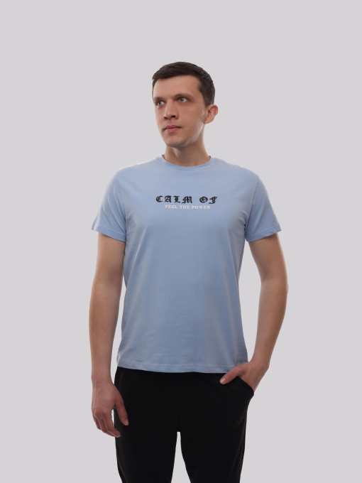 Футболка мужская Голубой ADRIAN модель 721836 Фото