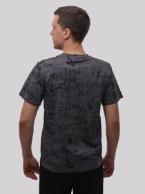 Футболка мужская Графит LUMO модель 706547 Фото