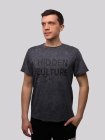 Футболка мужская Графит LUMO модель 708596 Фото