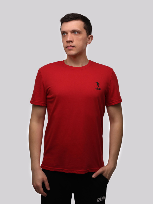 Футболка мужская Красный STREAM модель 711664 Фото