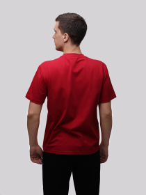 Футболка мужская Красный STREAM модель 721237 Футболка мужская Красный STREAM модель 721237 Фото