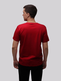 Футболка мужская Красный STREAM модель 722241 Фото