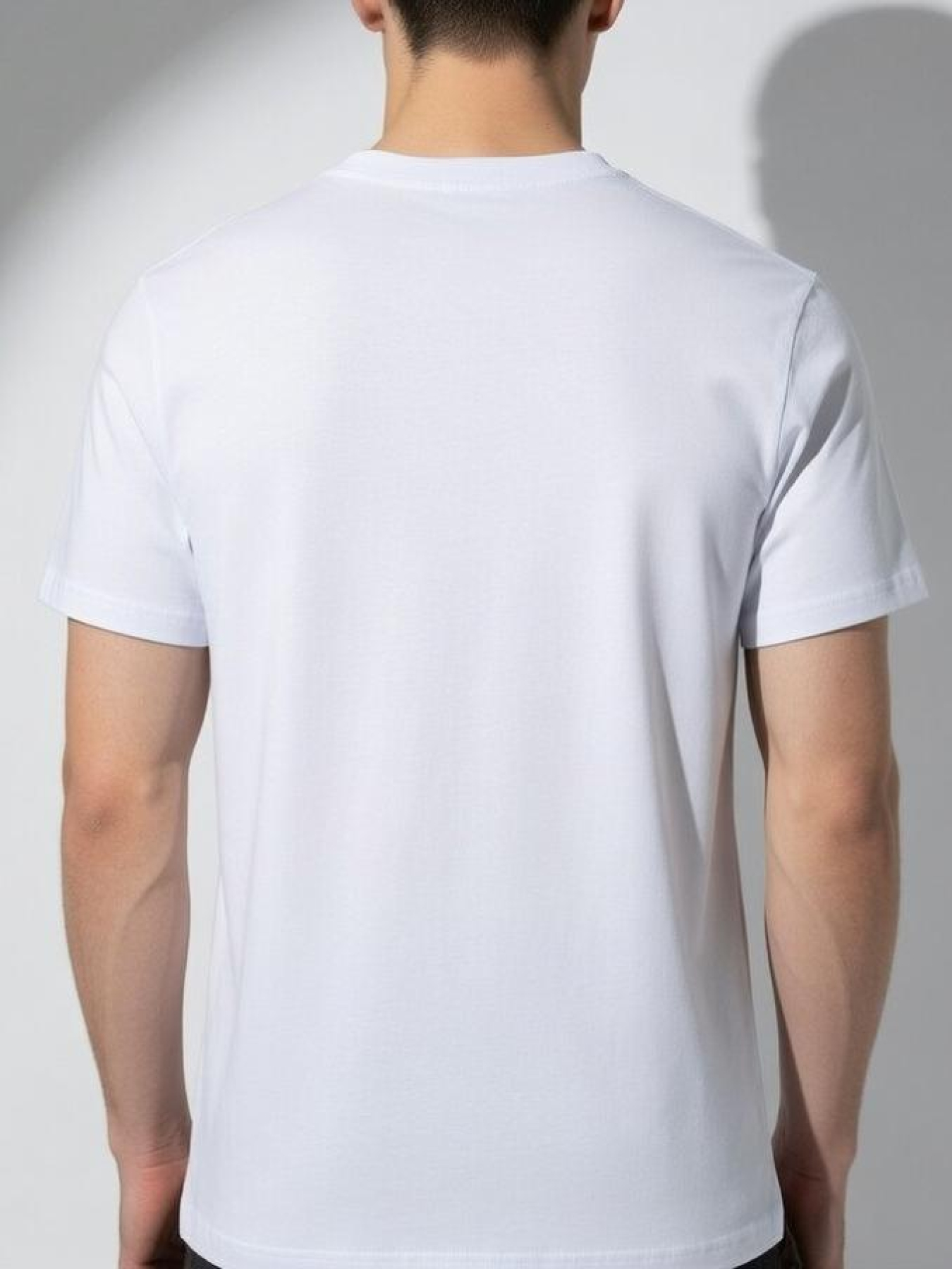 Футболка мужская Белый STREAM модель 704186 Фото
