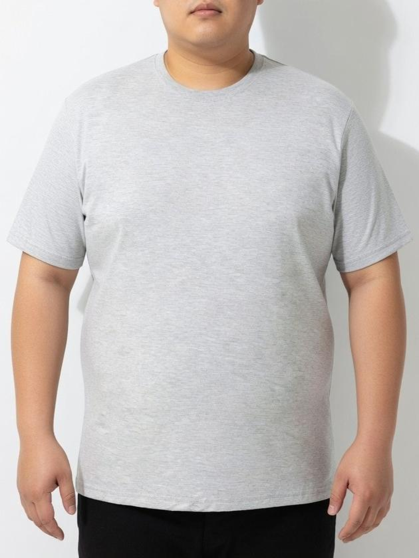 Футболка мужская Светло-серый STREAM модель 722228 Фото