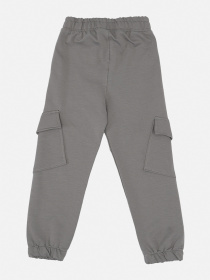 Штаны спортивные для мальчика  цвет серый ЦБ-00290475 модель ЦБ-00290475 Фото