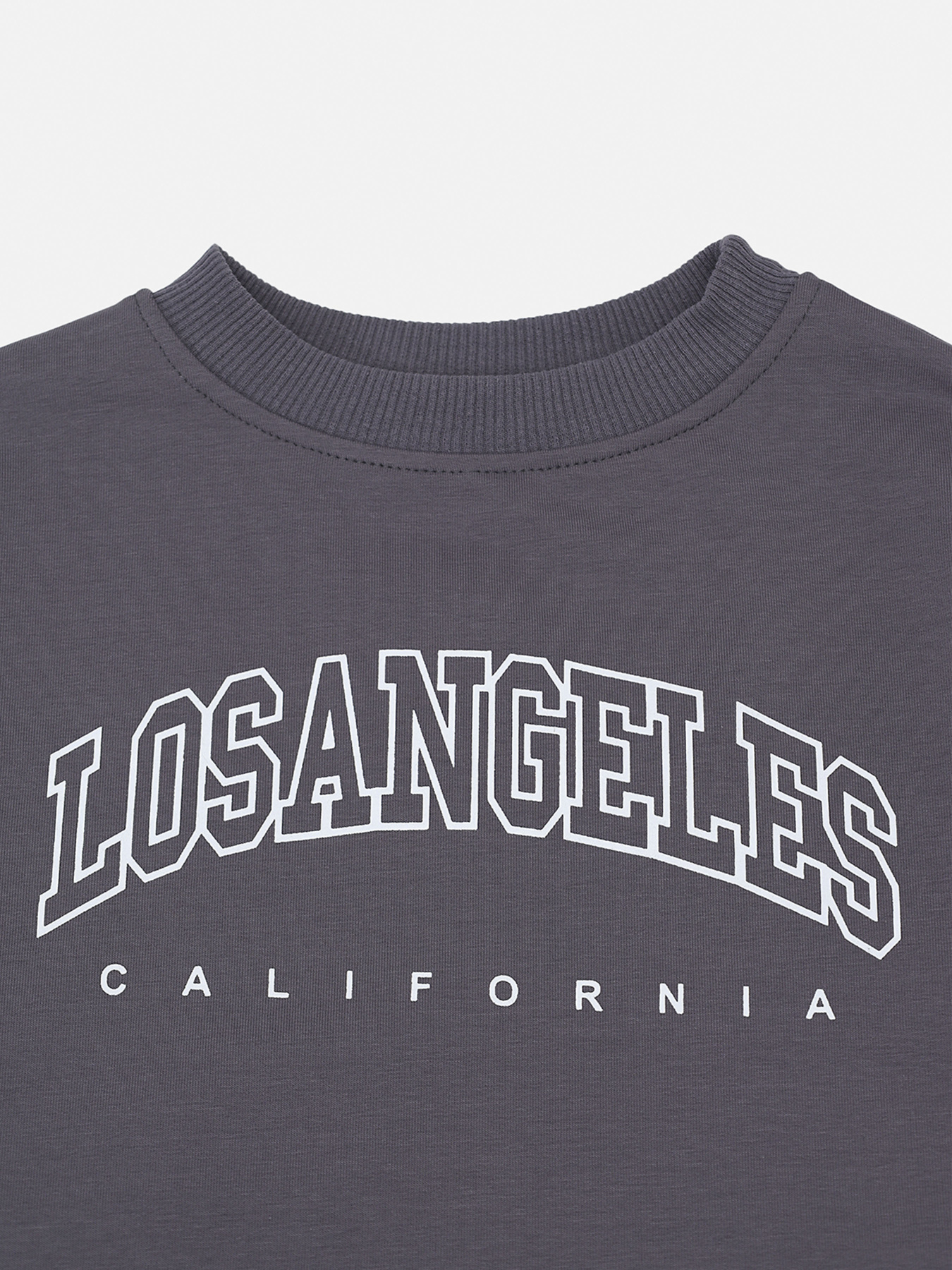 Світшот для хлопчика  колір сірий ЦБ-00290540 модель ЦБ-00290540 Фото